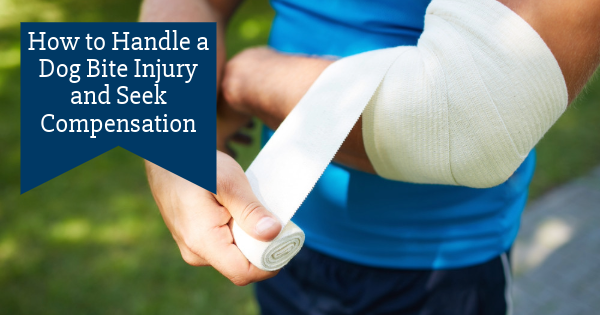 How to Handle a Dog Bite Injury and Seek Compensation